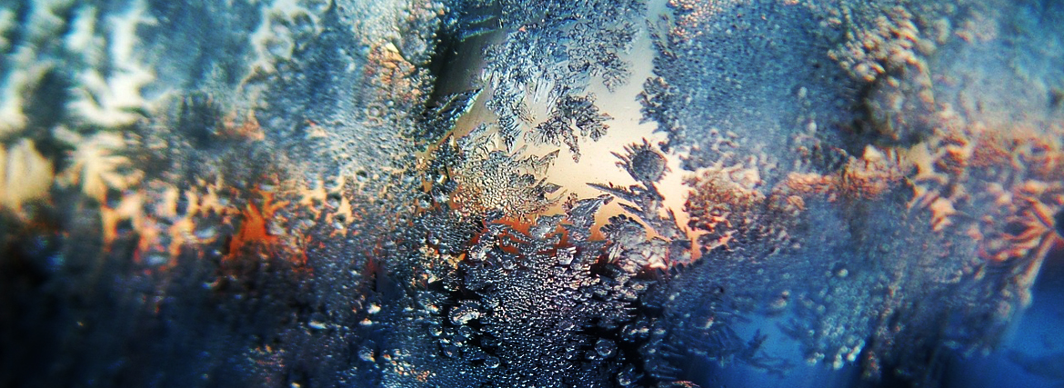 Frosty Window Pane - 2023